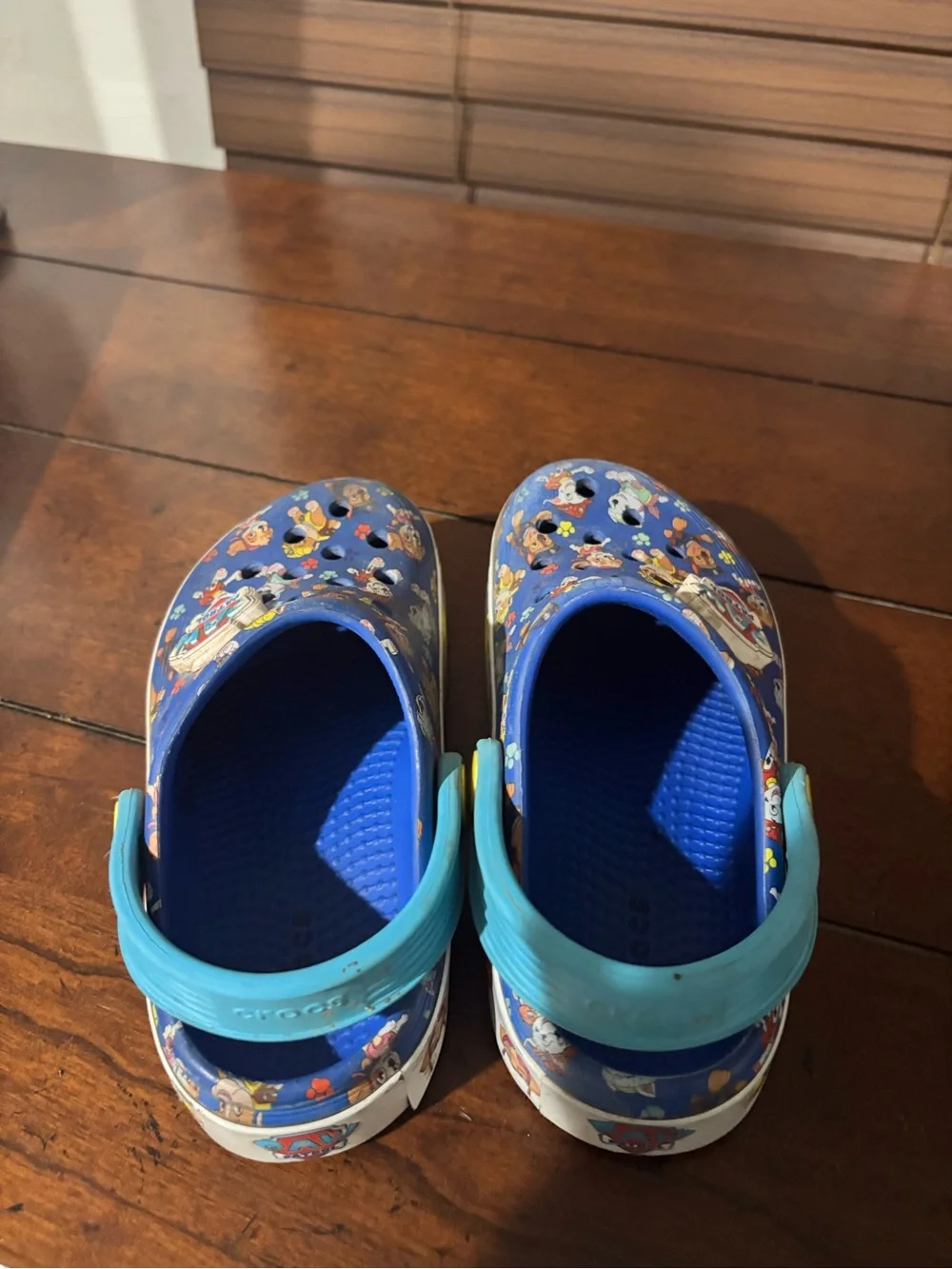 Paw Patrol bright paw